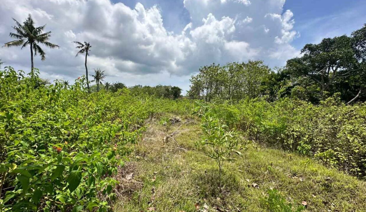 Exclusive Land Plot in Nusa Penida For Sale 7