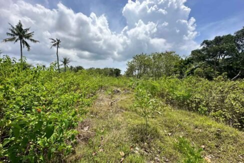 Exclusive Land Plot in Nusa Penida For Sale 7