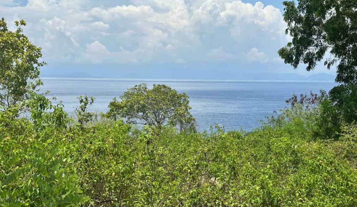 Exclusive Land Plot in Nusa Penida For Sale 8