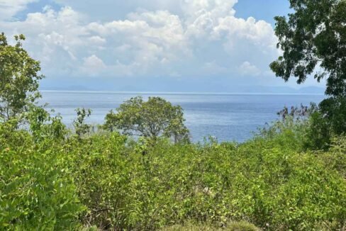 Exclusive Land Plot in Nusa Penida For Sale 8