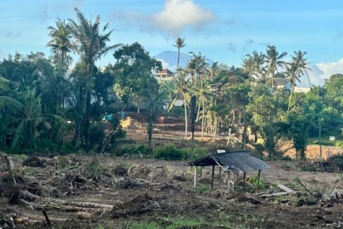 High ROI Land for Sale in Saba Bali Ideal for Luxury Villa Development 2