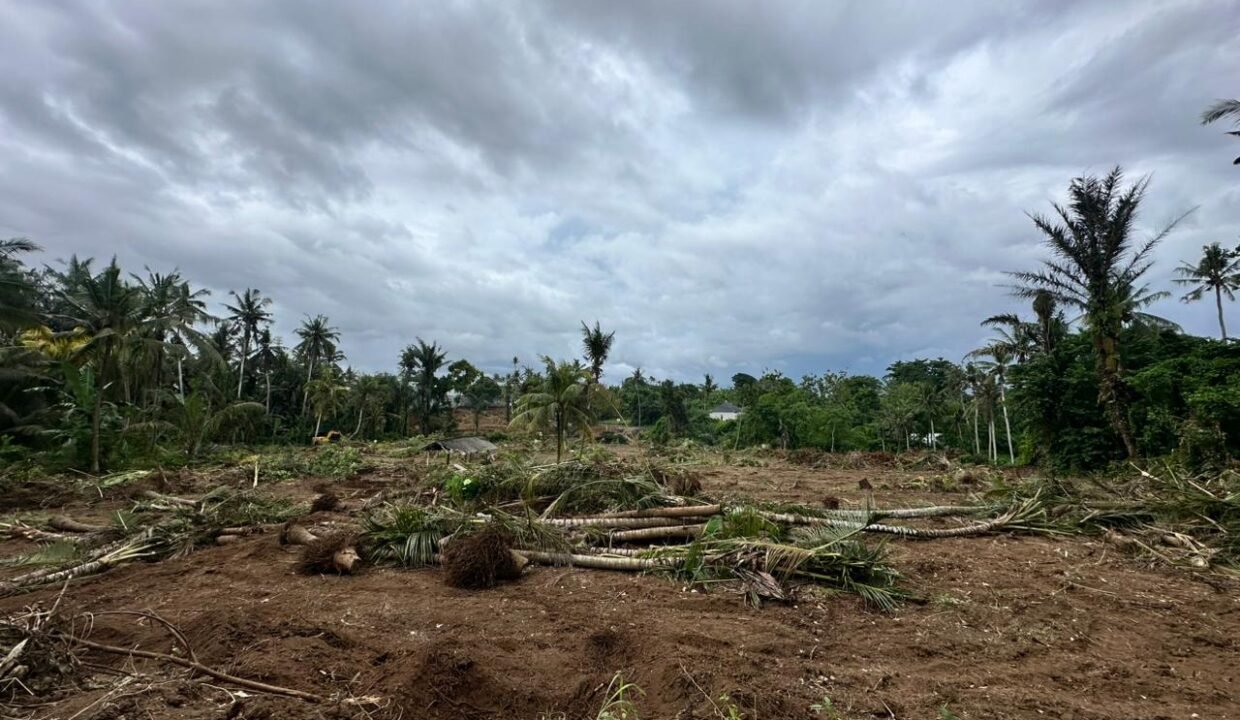 High ROI Land for Sale in Saba Bali Ideal for Luxury Villa Development 3