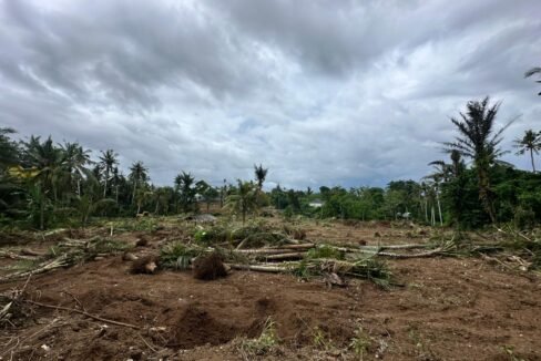 High ROI Land for Sale in Saba Bali Ideal for Luxury Villa Development 3
