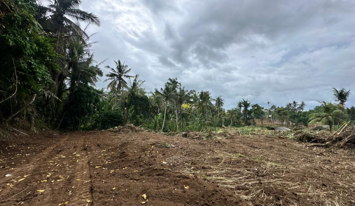 High ROI Land for Sale in Saba Bali Ideal for Luxury Villa Development 4