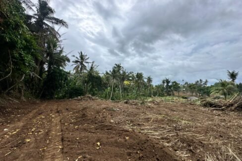High ROI Land for Sale in Saba Bali Ideal for Luxury Villa Development 4