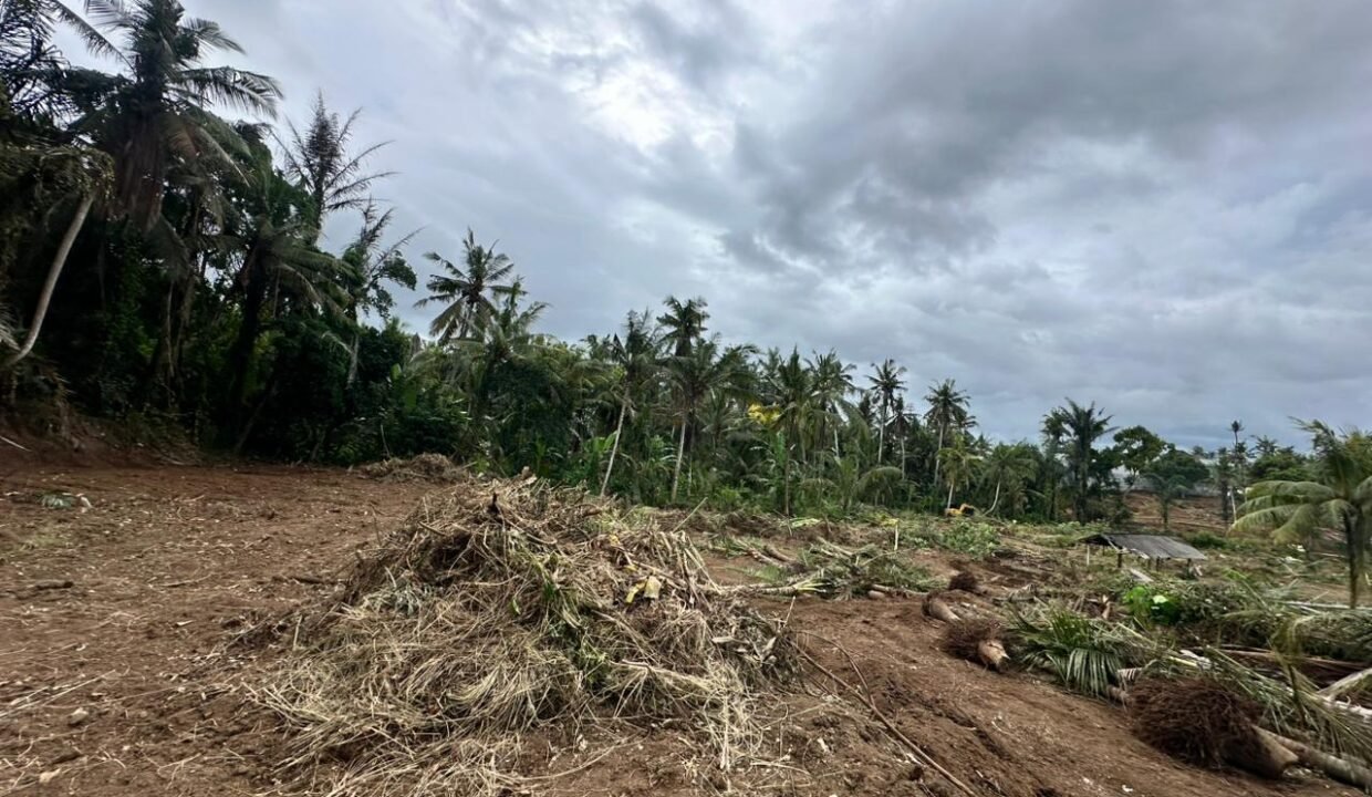 High ROI Land for Sale in Saba Bali Ideal for Luxury Villa Development 5