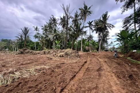 High ROI Land for Sale in Saba Bali Ideal for Luxury Villa Development 6