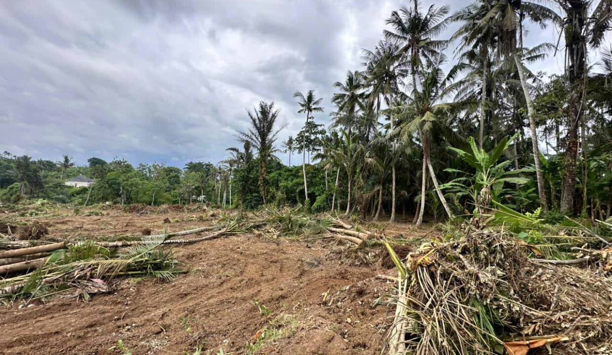 High ROI Land for Sale in Saba Bali Ideal for Luxury Villa Development 7