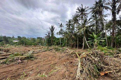 High ROI Land for Sale in Saba Bali Ideal for Luxury Villa Development 7